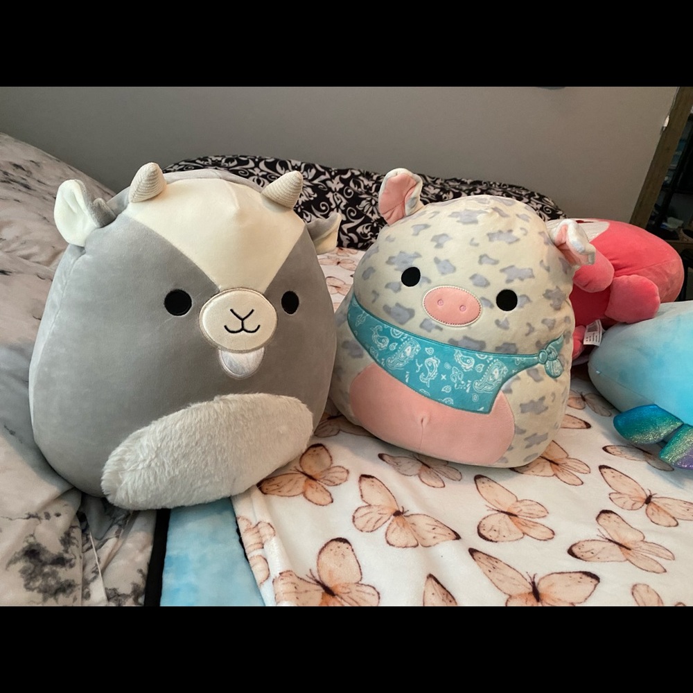 Squishmallows - Picture 5 of 8